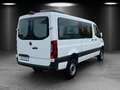 Mercedes-Benz Sprinter 319 CDI Kasten Standhz LED Klima Kamera Weiß - thumbnail 6