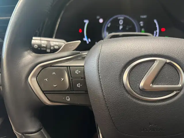Lexus RX view 9