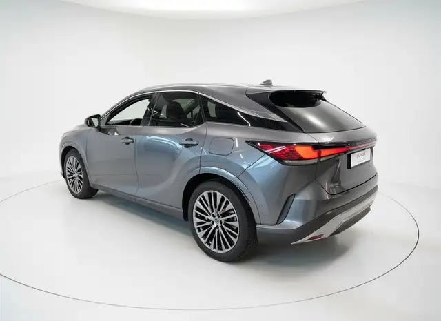 Lexus RX view 4