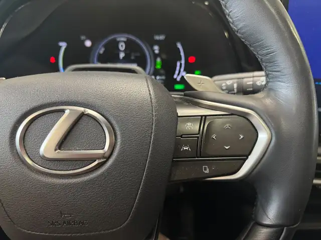 Lexus RX view 10