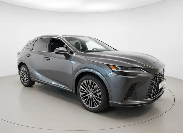Lexus RX view 3