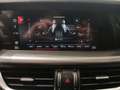 Alfa Romeo Stelvio 2.2 Diésel 140kW (190CV) Sprint+ Q4 Bleu - thumbnail 28