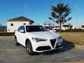 Alfa Romeo Stelvio 2.2 Turbodiesel 160 CV AT8 RWD Super Bianco - thumbnail 6