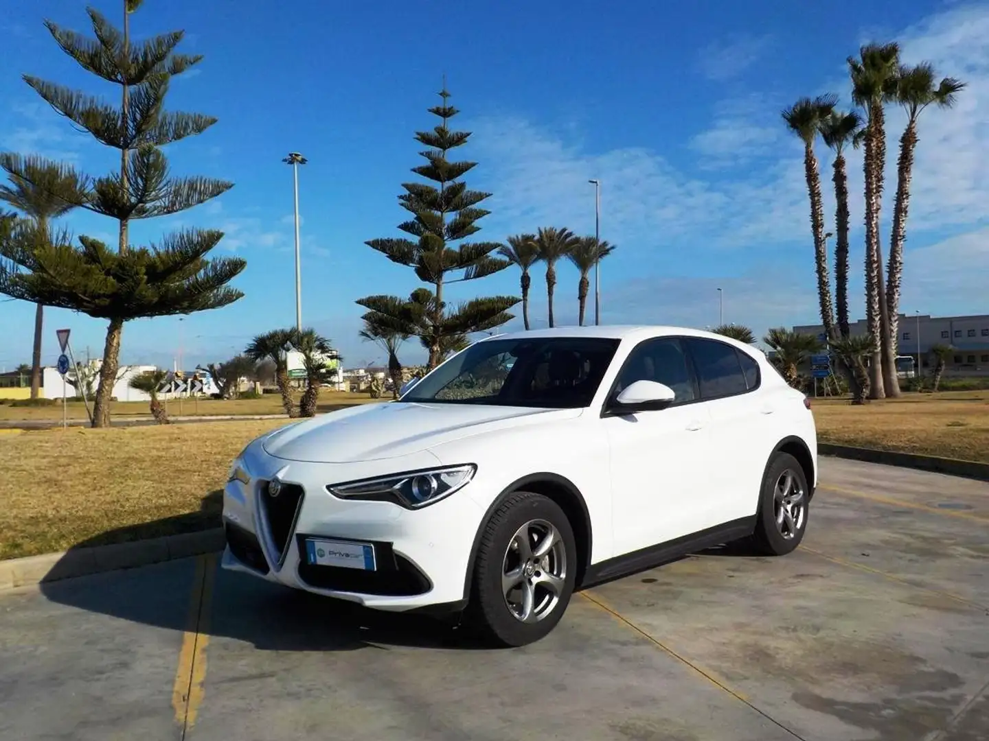 Alfa Romeo Stelvio 2.2 Turbodiesel 160 CV AT8 RWD Super Bianco - 1