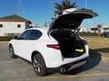Alfa Romeo Stelvio 2.2 Turbodiesel 160 CV AT8 RWD Super Bianco - thumbnail 3
