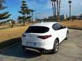 Alfa Romeo Stelvio 2.2 Turbodiesel 160 CV AT8 RWD Super Bianco - thumbnail 10