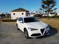 Alfa Romeo Stelvio 2.2 Turbodiesel 160 CV AT8 RWD Super Bianco - thumbnail 7
