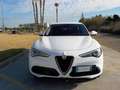 Alfa Romeo Stelvio 2.2 Turbodiesel 160 CV AT8 RWD Super Bianco - thumbnail 2