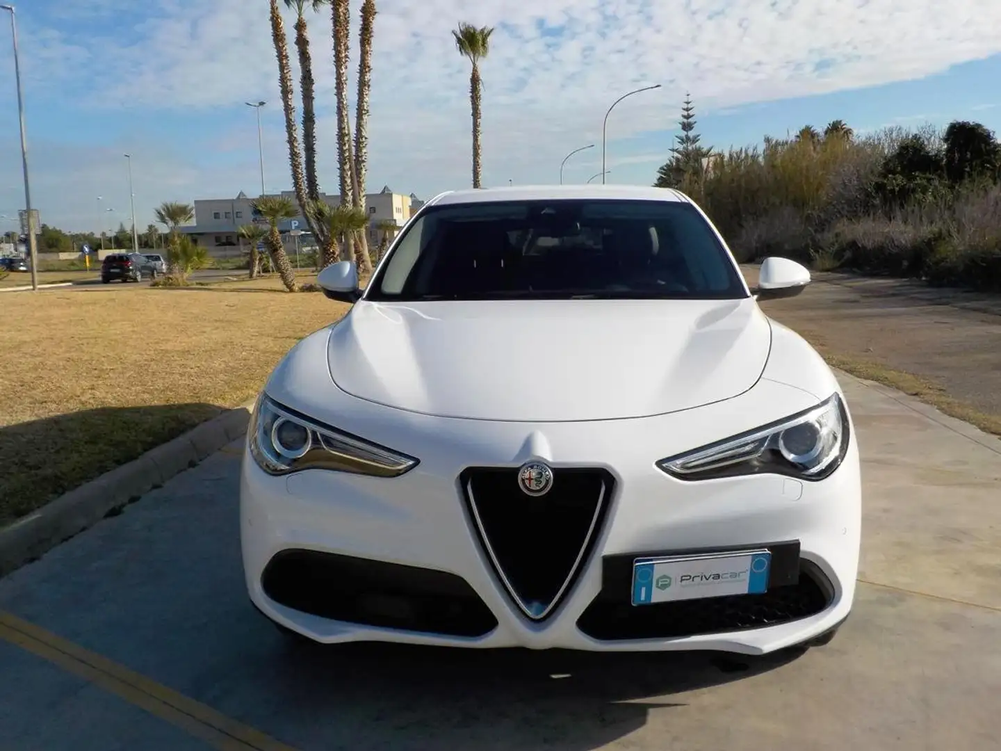 Alfa Romeo Stelvio 2.2 Turbodiesel 160 CV AT8 RWD Super Bianco - 2
