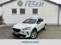CUPRA Formentor 2.0 TSI DSG ACC eHECK FaPa-XL NAVI Weiß - thumbnail 1