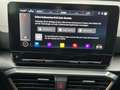 CUPRA Formentor 2.0 TSI DSG ACC eHECK FaPa-XL NAVI Weiß - thumbnail 26