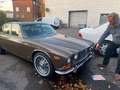 Jaguar XJ6 Brun - thumbnail 3