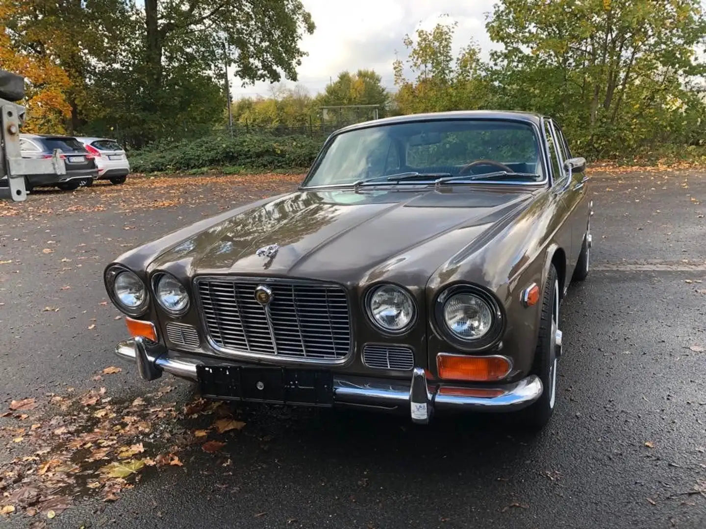 Jaguar XJ6 Brun - 2