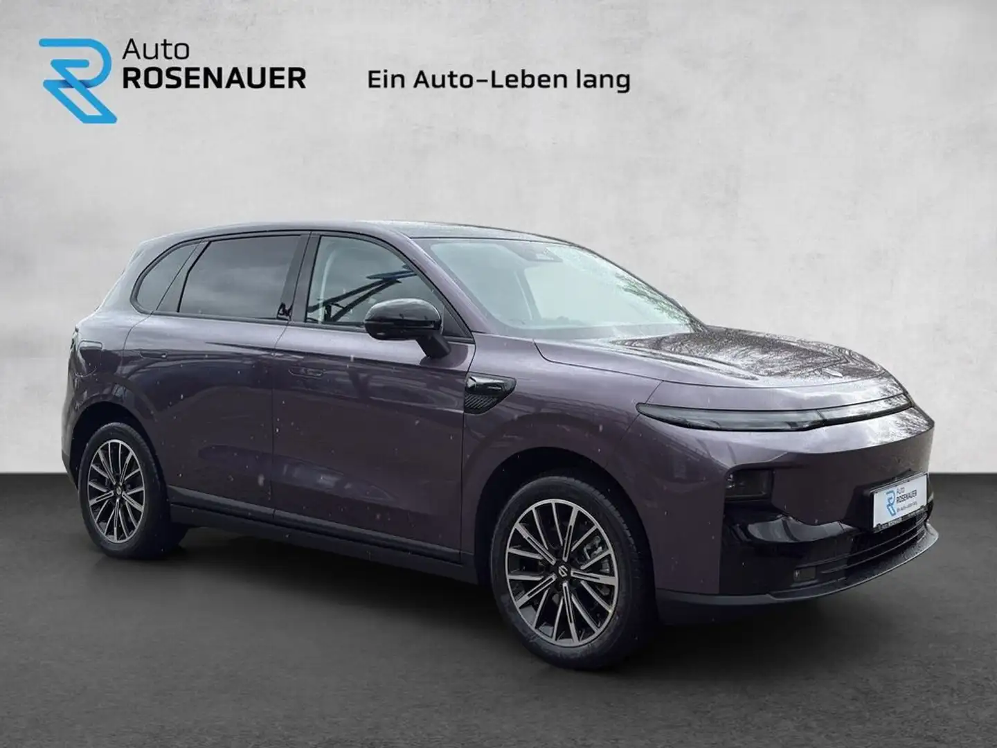 Leapmotor B10 Leapmotor B10 67,1 kWh Design Pro Max Violett - 2