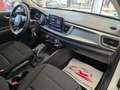 Kia Rio 1.0 T-GDi 74kW (100CV) MHEV iMT Concept Blanco - thumbnail 13