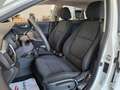 Kia Rio 1.0 T-GDi 74kW (100CV) MHEV iMT Concept Blanco - thumbnail 12