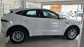 Jaguar E-Pace E-Pace 2.0D I4 R-Dynamic Base AWD Aut. 150 R-Dynamic Base Blanco - thumbnail 5