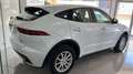 Jaguar E-Pace E-Pace 2.0D I4 R-Dynamic Base AWD Aut. 150 R-Dynamic Base Blanco - thumbnail 4