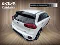 Kia Niro 1.6 HEV Emotion Blanco - thumbnail 4