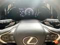 Lexus NX 350h Premium 2WD Groen - thumbnail 18