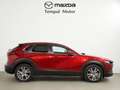 Mazda CX-30 2.0 Skyactiv-G Evolution 2WD 90kW Rojo - thumbnail 3