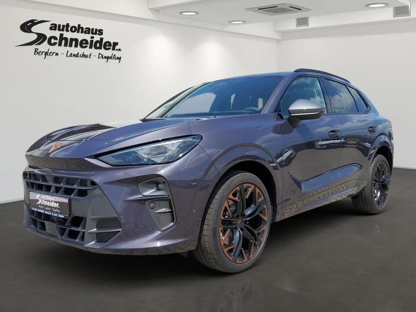 CUPRA Terramar 2.0 TSI VZ DSG 4DRIVE AHK/STHZ/PANO/MATRIX Lilla - 1
