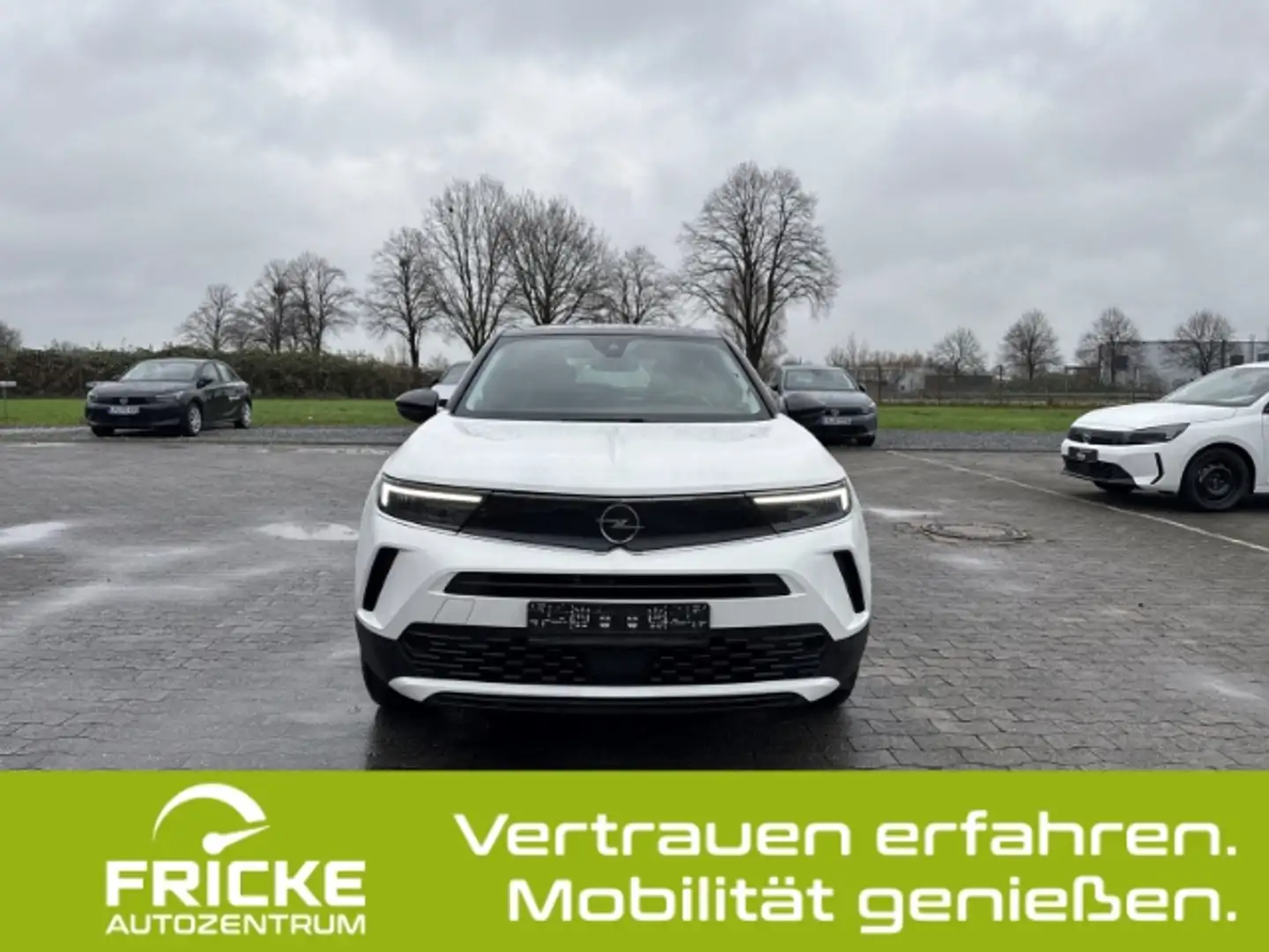Opel Mokka-E Edition LED+11KW Lader+ACC+Sitzhzg+Rückfkamera Weiß - 2