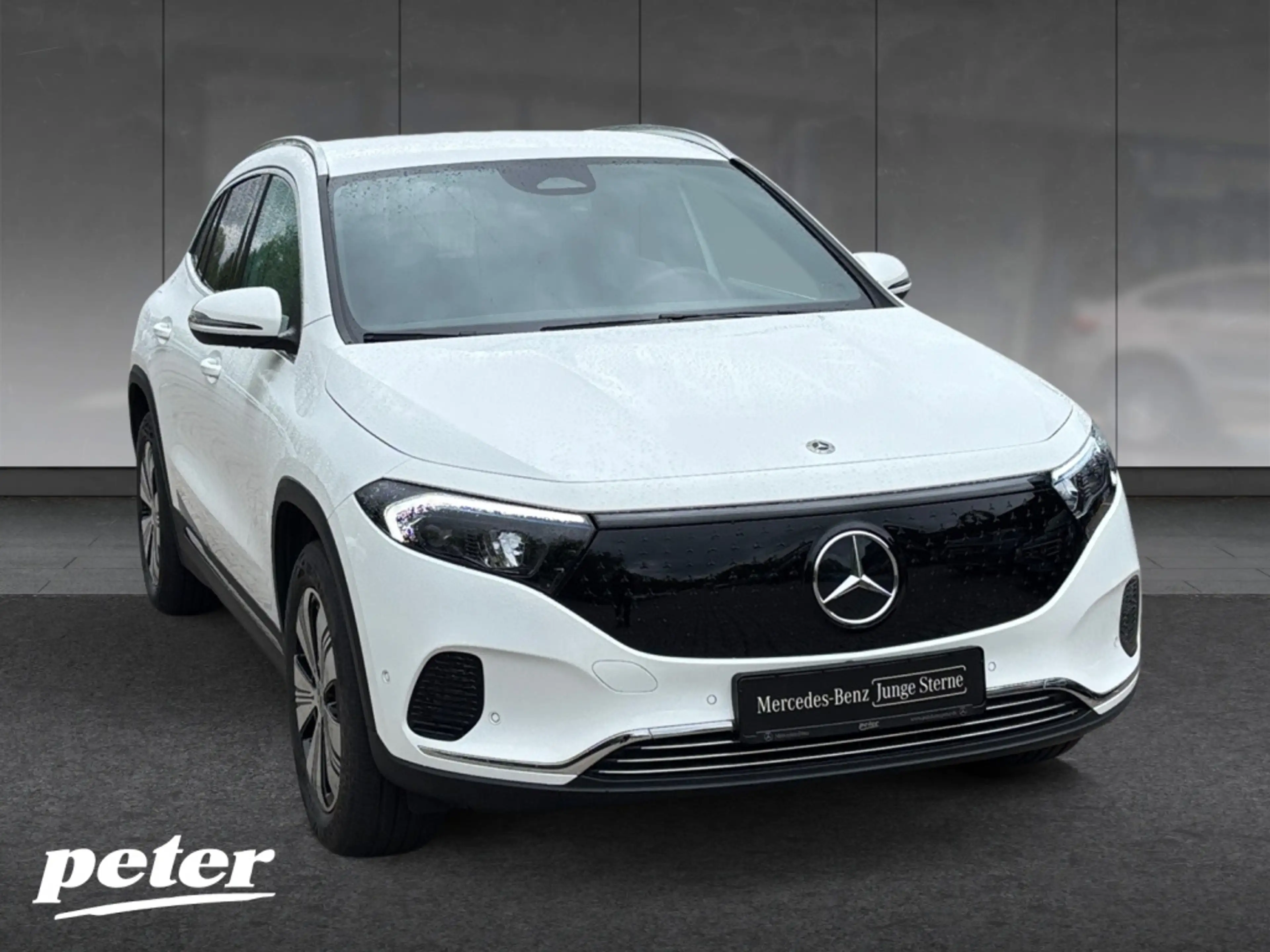 Mercedes-Benz EQA 300 4MATIC Progressive*Soundsystem — photo 4