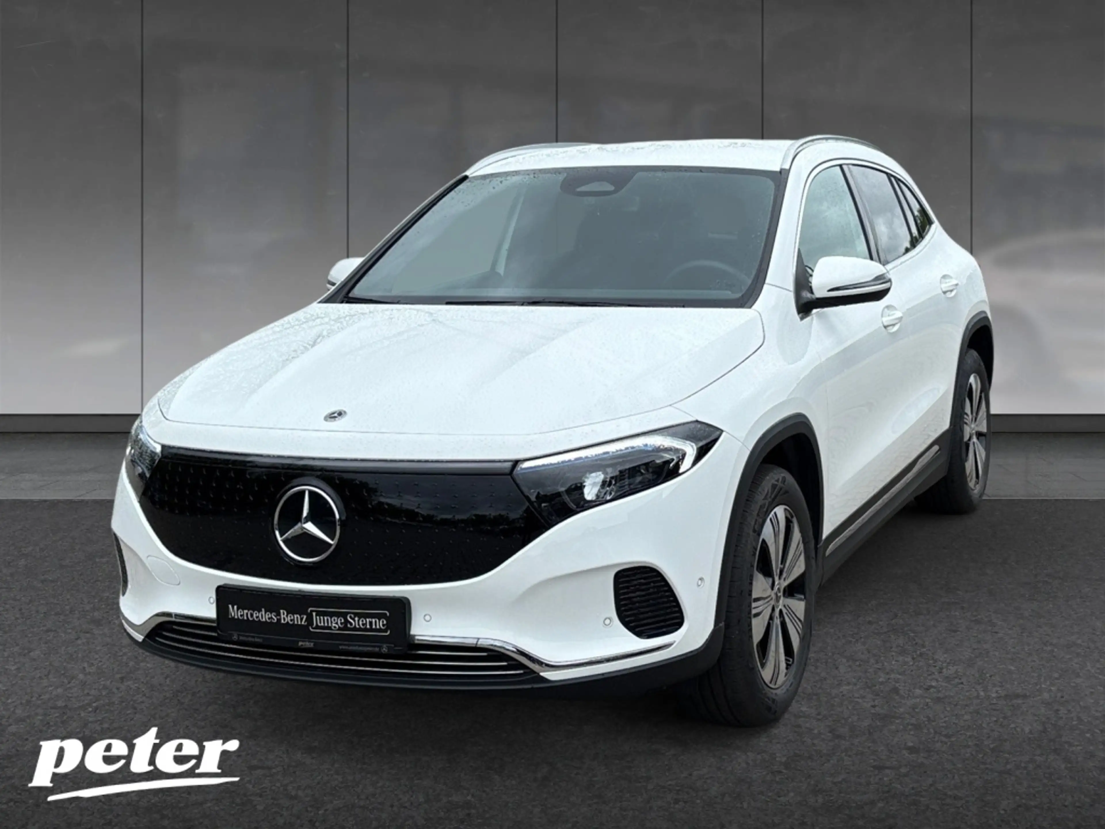 Mercedes-Benz EQA 300 4MATIC Progressive*Soundsystem