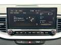 Kia XCeed 1.6 GDi PHEV DynamicLine Apple/Carplay Camera 1e E Gris - thumbnail 12