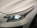 Kia XCeed 1.6 GDi PHEV DynamicLine Apple/Carplay Camera 1e E Gris - thumbnail 29