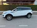 Land Rover Range Rover Evoque Range Rover Evoque 5p 2.0 td4 SE 150cv auto Bianco - thumbnail 1
