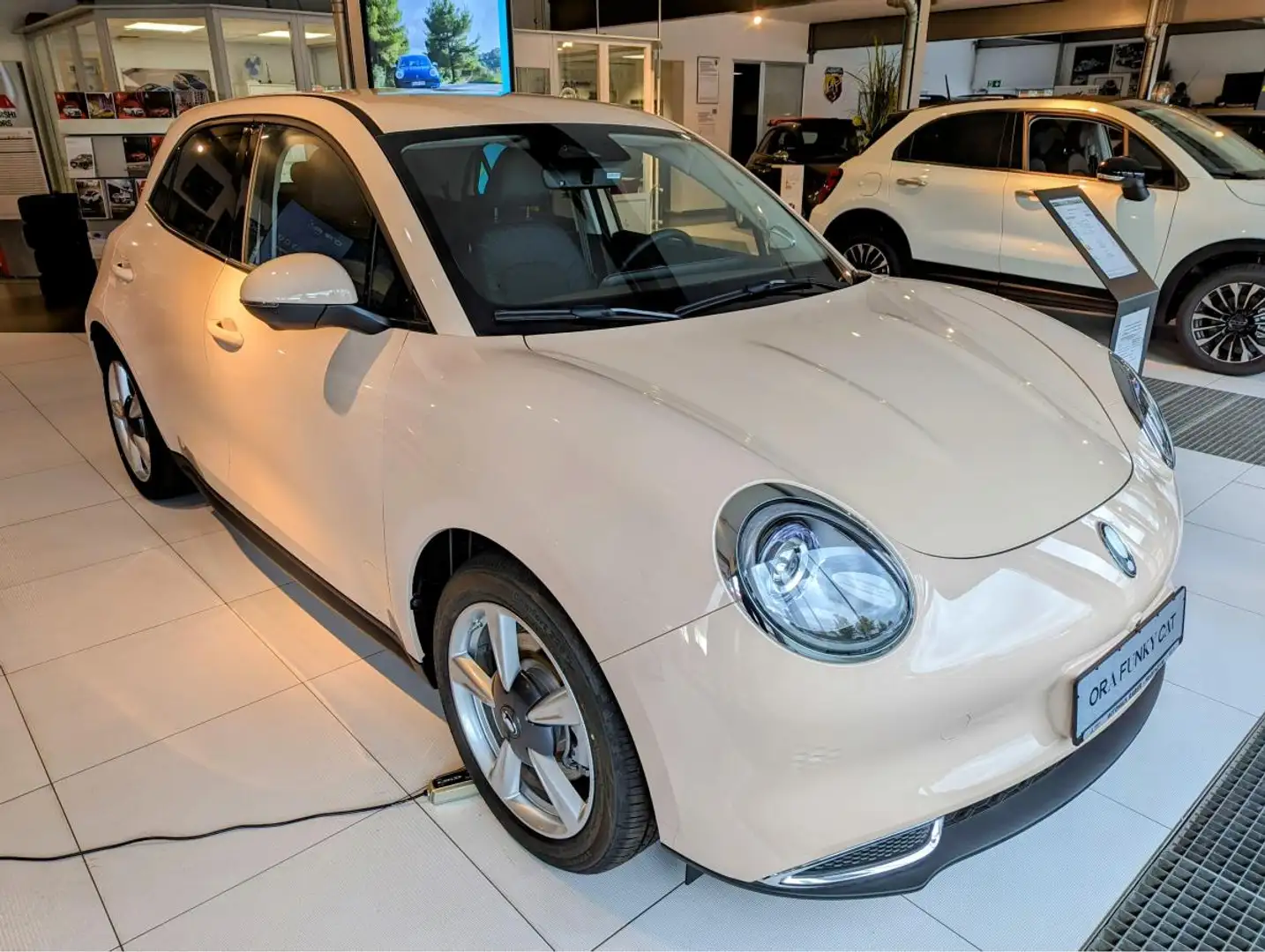 GWM ORA 03 ❗️❗️Zulassung muss im Juni erfolgen❗️❗️ 400Pro mit Beige - 2