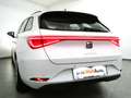SEAT Leon SP 2,0 DSG Style LED Navi ACC App DAB R-Kamera Blanco - thumbnail 7