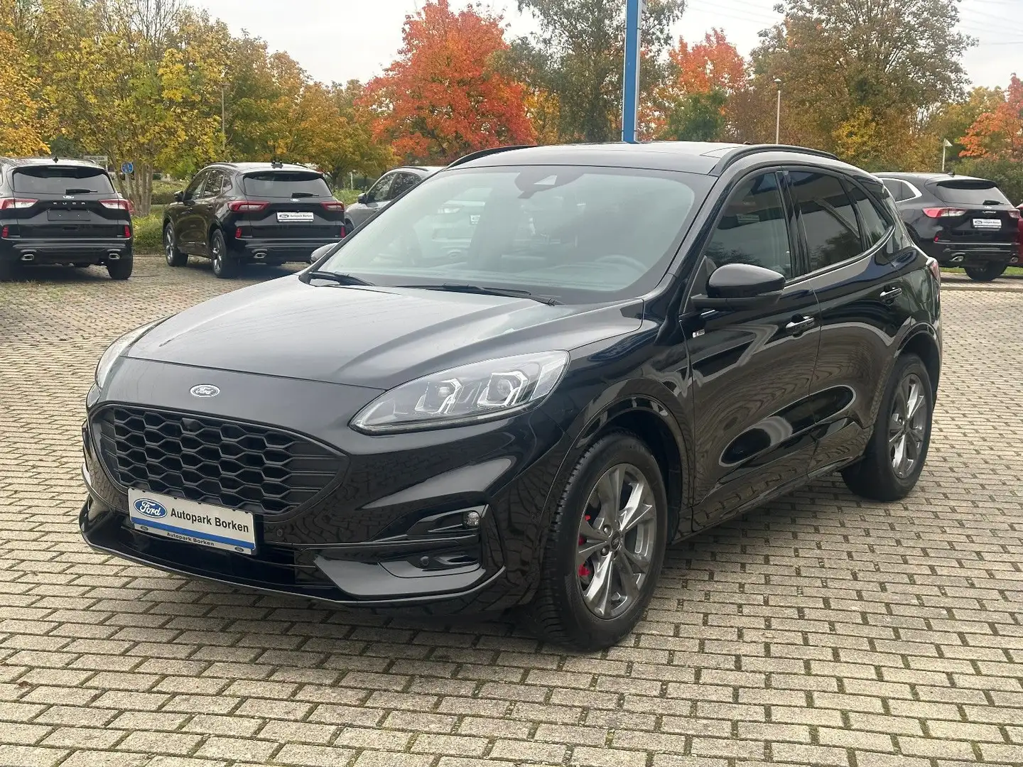 Ford Kuga ST-Line X Panorama Technologie Paket Winter Schwarz - 1