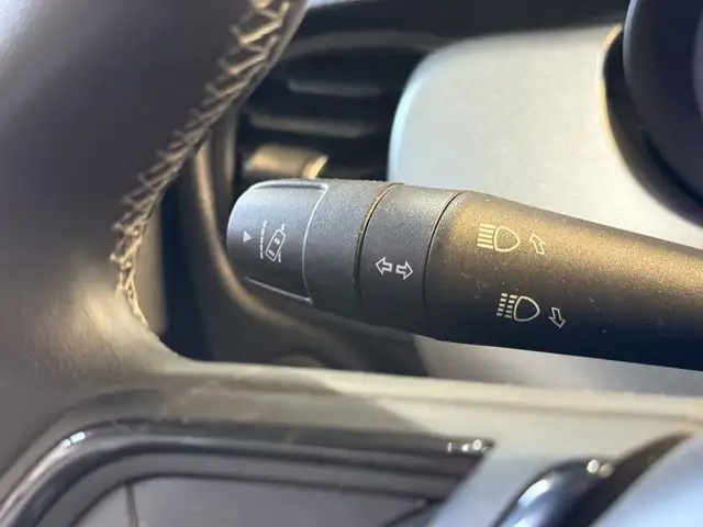 Fiat 500x view 12