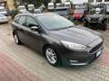 Ford Focus 1.5 TDCi 120 CV Start&Stop Pow. SW Titanium Busine Grigio - thumbnail 6