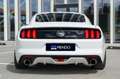Ford Mustang 5.0 Ti-VCT V8 307kW  GT (Fastsb.) Blanco - thumbnail 4