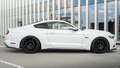 Ford Mustang 5.0 Ti-VCT V8 307kW  GT (Fastsb.) Blanco - thumbnail 28