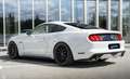 Ford Mustang 5.0 Ti-VCT V8 307kW  GT (Fastsb.) Blanco - thumbnail 2