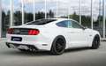 Ford Mustang 5.0 Ti-VCT V8 307kW  GT (Fastsb.) Blanco - thumbnail 30