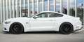 Ford Mustang 5.0 Ti-VCT V8 307kW  GT (Fastsb.) Blanco - thumbnail 29