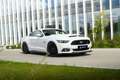 Ford Mustang 5.0 Ti-VCT V8 307kW  GT (Fastsb.) Blanco - thumbnail 26