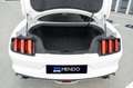 Ford Mustang 5.0 Ti-VCT V8 307kW  GT (Fastsb.) Blanco - thumbnail 5