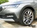 Skoda Octavia Combi Scout 2.0 TDI 4x4 DSG STDHZG V-AHZV Grau - thumbnail 23