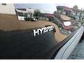 Nissan Juke 1.6 Hybrid N-Connecta Winter Automatik Schwarz - thumbnail 20