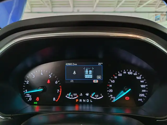 Ford Focus view 10