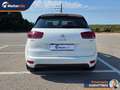 Citroen C4 Picasso 1.6 e-hdi Exclusive 115cv Weiß - thumbnail 4