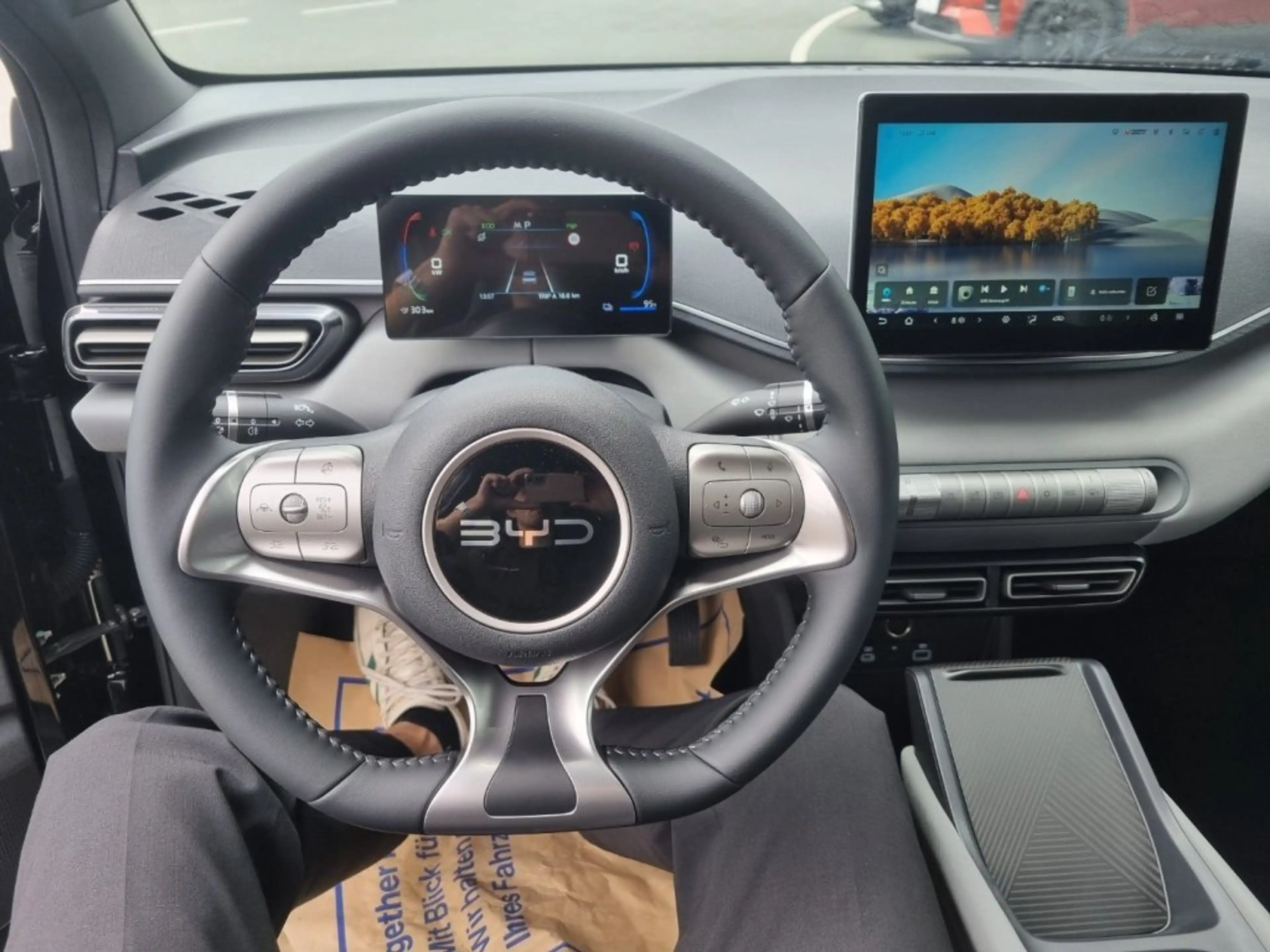 BYD Dolphin Surf Boost — photo 6