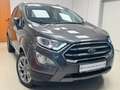 Ford EcoSport Titanium°AHK°1.Hd°SHZ°PDC°Teilleder° Grau - thumbnail 19
